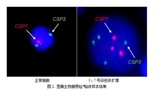 1672581105717983.png image.png